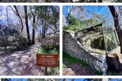 EBBA30D3-1521-4FE5-853D-AD72998BB0FB-COLLAGE