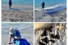 5FE58DA2-235C-4827-B92F-6DBFB7617682-COLLAGE