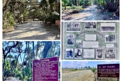 7E431A10-D0F2-4925-B7BD-F5837B5B9888-COLLAGE