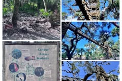 89CED71B-7449-4D6B-A6C1-D533D7FCFB50-COLLAGE