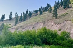 4A2CBEC0-ACC0-4C10-A549-DBC462E7E898-COLLAGE