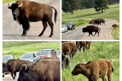 73258EDB-22E5-4BA7-A94C-CA49E806F12F-COLLAGE