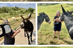 FC9CD91C-CB47-491A-9C5B-E1EBA647549F-COLLAGE