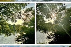 1ECDCD69-5977-47BC-8430-F5172A2BC3A3-COLLAGE