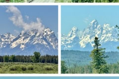 E737E79F-D701-484D-AAAE-774BC80176BF-COLLAGE