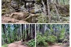 59AC94E6-99AB-4A5F-8364-993C27E2CF6E-COLLAGE