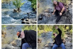 D11F7C98-A535-471B-84EB-F9780F628048-COLLAGE