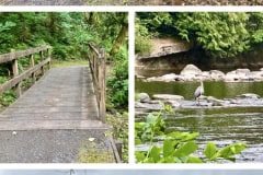 0A989227-B38F-49D7-BB78-DEF2D17A5596-COLLAGE