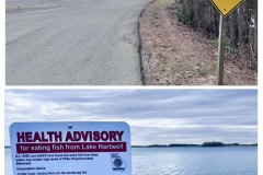 54724958-32D1-43D8-9271-AD7FA6D4A560-COLLAGE