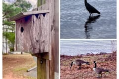 75397991-6723-419C-A3F4-0243C21753AC-COLLAGE