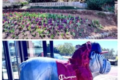 D51C4432-BFBF-4AD3-9D48-D560E065AB81-COLLAGE