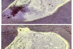 FBBCECCD-4E21-47C1-BC12-B3B05918637A-COLLAGE