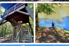 DE931D19-A28D-4B02-8EC0-34332481AD93-COLLAGE