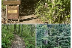 2CD60151-C96F-4BC6-A1F3-5407273D7942-COLLAGE