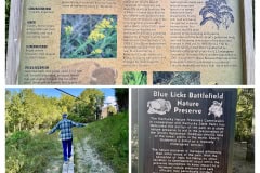 B7549A1B-1C64-4F76-8705-48796002825B-COLLAGE