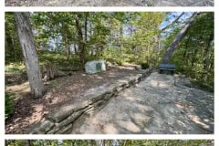 D2B1DED7-8D7F-4389-A264-3DA51EC138B0-COLLAGE