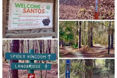 D7168CBB-BCC0-404D-9D95-95E718CEFF60-COLLAGE