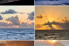 07A9CFE3-1137-465C-8E66-2C6EE2585DB7-COLLAGE