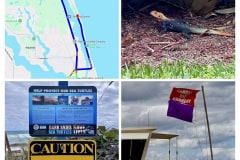 18655B81-D64E-45A8-A5C0-BCC0B88D20E0-COLLAGE