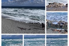 697292A2-6EE1-475D-9E5A-89C6E7127A67-COLLAGE