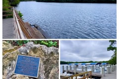 95CFC420-F024-4799-9C46-7B16A5FEB067-COLLAGE