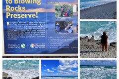 9730DA70-36FE-41FB-A40E-1ACC99092E99-COLLAGE