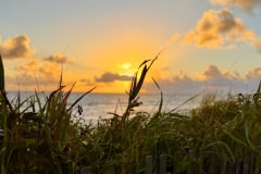 BB4E56DB-18B5-4F17-A032-0D836BB77D96-COLLAGE