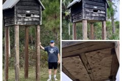 C316273E-6DB3-4677-8E11-5B49358794F6-COLLAGE