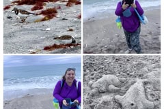 157E32E3-D1ED-48F8-951E-2506F43BF6E7-COLLAGE