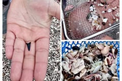 96780776-20BD-43CD-B3B5-EE32F081DFB7-COLLAGE