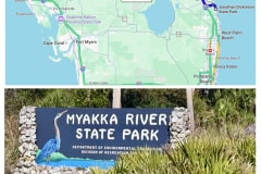 D2FAE460-942A-45EE-AFD6-B3329EF04648-COLLAGE