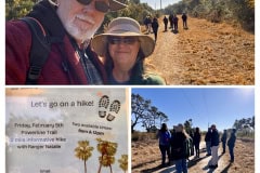 F2671D24-1AA3-4B27-9FFC-BCCF70F905FE-COLLAGE