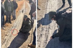 FC9D1271-5750-4AA1-8164-C01A32CA38E8-COLLAGE