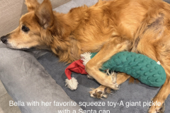 38A00DF4-8CB8-4884-8AB4-487FF653739A-COLLAGE