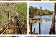 47871F48-E5EF-4452-831D-51B9C87A7210-COLLAGE