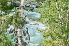 35B27E05-2C3B-4A7B-97F3-A6E9C574132B