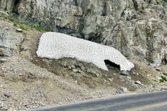 A161BD6C-1A7C-4D6F-AD50-214BE3B17615