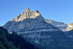 8EC311A1-7620-4348-B8E7-13E98584A757