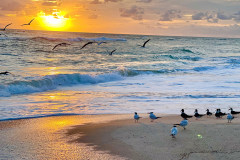 2A76C092-476D-4BEA-8C37-A0AE3E7FDB61