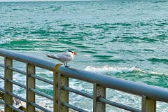 BAB9B210-4152-4CEF-A970-785DE11F8611