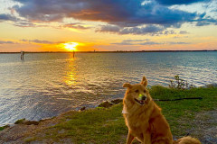 F4D19471-A1AF-4DAA-B290-E4902DF83E3B