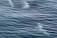 084E9BF9-8D07-4BAC-A80C-1D747F109CBD