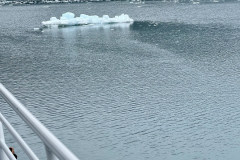 29C29B5E-16F5-4C70-B045-3B7E9FC4C2ED