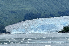 52697CFC-A3A1-45B1-BB10-E4A911450D89