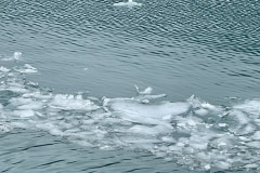 7603AAB6-6DC1-449A-8D8E-EC8CD9349158