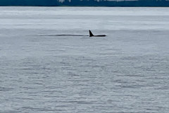 7BD37F34-C710-49F2-B1C1-10BDE7C35EEB