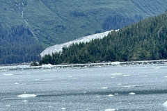 955B3587-4348-4310-9762-109B27F57D6C