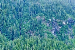 B1EC9CBA-8B9E-4837-B843-C74CF469A84A