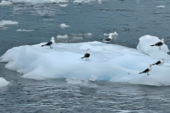 D0C12966-BC8A-403E-B7B1-2E05D2C683A2