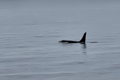 DADDB6B9-696C-497E-AC5A-4F5ACB8CD00F